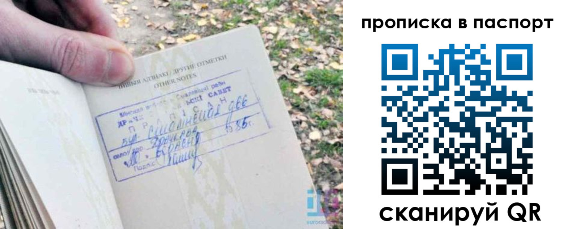 купить прописку в Соколе